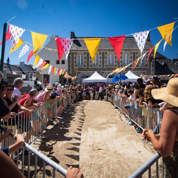 Site internet responsive et sécurisé pour la mairie de Guerlesquin en Bretagne